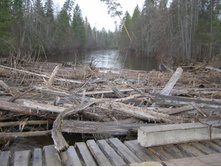 ����� ���� �����