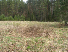 ���, ��� �������� �� ����� ����������� �� �����-������������