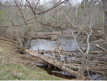 ���� ������, �� ��� �����!