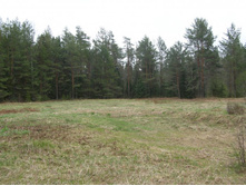 ��.������