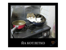 �� ��������!