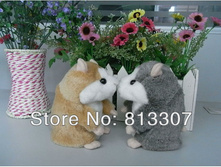 http://www.aliexpress.com/item/Free-Shipping-Set-of-2-Tomy-Mimicry-Pet-Hamster-talking-Plush-Animal-Toy-Electronic-A-Talking/843591602.html