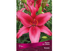 ����� ������.jpg