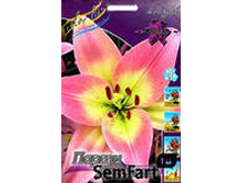 ����� ����� �������.jpg