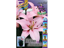 ����� ����� �����.jpg