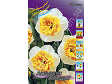 ������� ������� ������.jpg