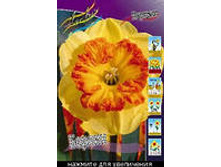 ������� ������.jpg