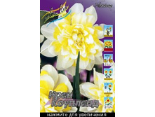 ������� ���� ��������.jpg