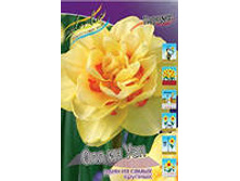 ������� �� ��.jpg