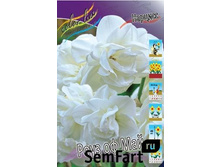 ������� ���� �� ���.jpg