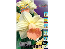 ������� �������.jpg