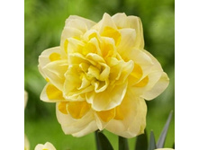 ������� ���� ���������.jpg