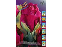 ������� �������.jpg