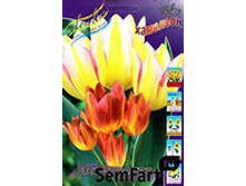 ������� ����������.jpg