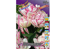 ������� �������.jpg