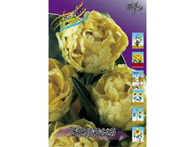 ������� ������.jpg