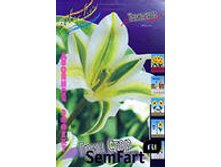 ������� ���� ����.jpg