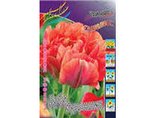 ������� ���� ��������.jpg