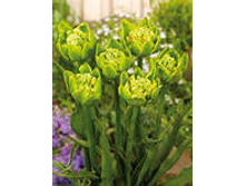 ������� �� �����.jpg