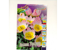 ������� ����� ������.jpg