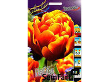 ������� �����.jpg