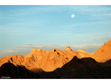 ������� ������� - ����� ��������� ��������������������� ����