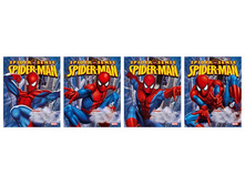 ������� SpiderMan, 18�. � ������, ����. ������� � ���. ������������ 10�.jpg