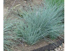 ��������� ������� 70 ���.