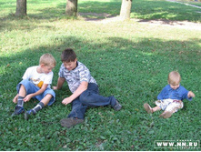 ��� ��� � ���� Elenium