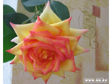 �������� ������