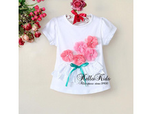 http://www.aliexpress.com/item/Kids-Short-Sleeve-T-shirt-H130105-20/732846978.html