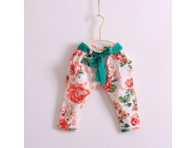 http://www.aliexpress.com/item/wholesale-5pcs-lot-Free-shipping-2013-new-The-girls-Rose-flower-green-belt-pants-pants-7/847039242.html