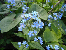 ��������_��������� ��������