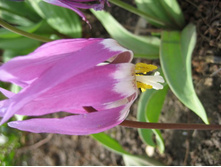 ����������� 080.jpg