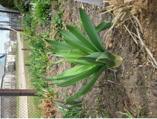 ����������� 083.jpg