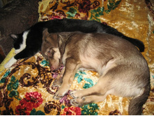 ����������� 028.jpg