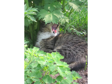 ����������� 214.jpg