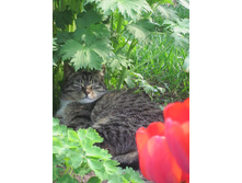 ����������� 215.jpg