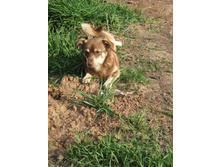 ����������� 212.jpg