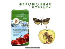 ���������� ������� ��� �������� ����������_175 ���+%