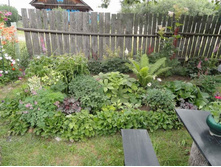 ��������� ��������������������  ������ �������������...... ����� �����������.....