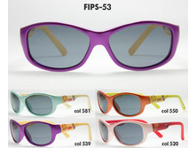 FIPS-53 - 950,00.jpg