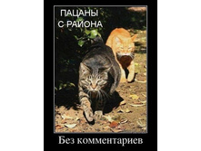 ������ � ������