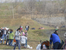 ����������� 228.jpg