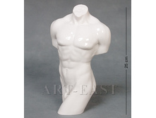 ���� 495 ���.