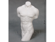 ���� 495 ���.