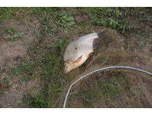 ������� (1 �� 1).jpg