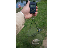 ������ (1 �� 1).jpg