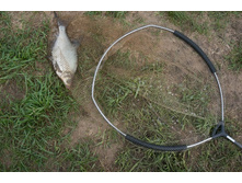 ������ (1 �� 1).jpg