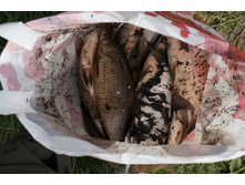 ���� � ������ (1 �� 1).jpg